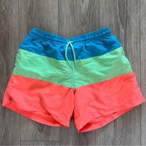 Chubbies Colorblock Swim Trunks